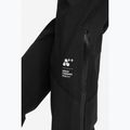 Vyriškos žygių kelnės Viking Tek Pro 2.5 black 6