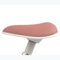 Balansinis dviratukas Milly Mally Skippy pink 11