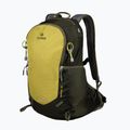 Turistinė kuprinė Alpinus Anayet 25 l lime/green