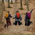 Turistinė kuprinė Alpinus Tarfala 35 l mustard 4