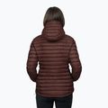 Moteriška pūsta striukė Alpinus Kiruna brown 2