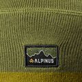 Žieminė kepurė Alpinus Bleik light green 2
