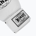 Bokso pirštinės WINDY Classic Synthetic Leather white 6