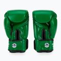 Bokso pirštinės WINDY Classic Synthetic Leather green 3