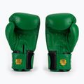 Bokso pirštinės RAJA BOXING Single Standard Genuine Leather green 3