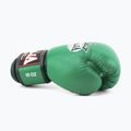 Bokso pirštinės RAJA BOXING Single Standard Genuine Leather green 4