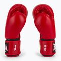 Bokso pirštinės RAJA BOXING Single Standard Genuine Leather red 4