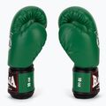 Bokso pirštinės RAJA BOXING Single Semi Leather green 4