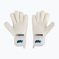4keepers Champ AQ Contact V RF vaikiškos vartininko pirštinės balta/mėlyna 2