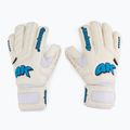4keepers Champ Aqua V RF vartininko pirštinė balta/mėlyna