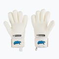 4keepers Champ Aqua V NC vartininko pirštinė balta/mėlyna 2