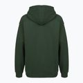 Vyriškas džemperis PROSTO Biolog Hoodie chaki 2