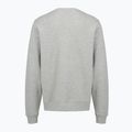 Vyriškas džemperis PROSTO Old Logo Crewneck gray 2