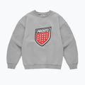 Vyriškas džemperis PROSTO Big Shield Crewneck gray