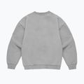 Vyriškas džemperis PROSTO Big Shield Crewneck gray 2