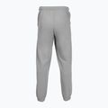 Vyriškos kelnės PROSTO Big Shield gray 2