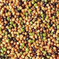 Granulės masalui Prestige Fish Meal Sweet 2 mm 800 g FB11-10 2