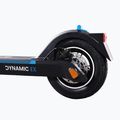 Elektrinis paspirtukas Frugal Dynamic Ex juodas/mėlynas 10