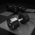 Hantelis HMS HPC 1 vnt. 40 kg black 5