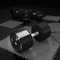 Hantelis HMS HPC 1 vnt. 45 kg black 5