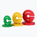 Perdengimo tipo įrangos apkrova HMS TSN25 2 x 0,25 kg green 3