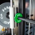 Perdengimo tipo įrangos apkrova HMS TSN25 2 x 0,25 kg green 4