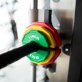 Perdengimo tipo įrangos apkrova HMS TSN25 2 x 0,25 kg green 7
