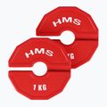 Perdengimo tipo įrangos apkrova HMS TSN100 2 x 1 kg red