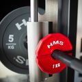 Perdengimo tipo įrangos apkrova HMS TSN100 2 x 1 kg red 4