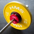 Perdengimo tipo įrangos apkrova HMS TSN100 2 x 1 kg red 7
