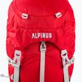 Alpinus Woodpecker trekingo kuprinė 70 l raudona 4