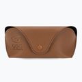 Moteriški akiniai nuo saulės GOG Hazel fashion black / brown demi / gradient smoke E808-1P 5