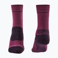 Moteriškos kojinės Bridgedale Heavyweight Performance Boot Original berry/plum 2
