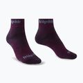 Moteriškos žygio kojinės Bridgedale Hike Midweight Performance Ankle dark purple
