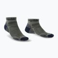 Vyriškos žygio kojinės Bridgedale Hike Ultralight Performance Ankle khaki/navy