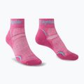 Moteriškos žygio kojinės Bridgedale Hike Ultralight Performance Ankle pink