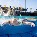 Plaukimo vamzdelis FINIS Stability Snorkel sage 3