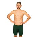 Vyriški maudymosi šortai FINIS Jammer Solid pine 5