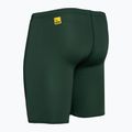Vyriški maudymosi šortai FINIS Jammer Solid pine 3