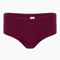 Vyriškos plaukimo kelnaitės FINIS Aqua Short Solid cabernet