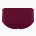 Vyriškos plaukimo kelnaitės FINIS Aqua Short Solid cabernet 2