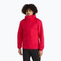 Vyriška Arc'teryx Atom LT Hoody Heritage pūkinė striukė 11