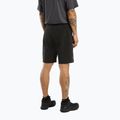 Arc'teryx vyriški trekingo šortai Gamma LT 11" black 3