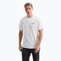 Vyriški marškinėliai Arc'teryx Arc'Multi Bird Logo white light