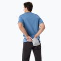 Vyriški marškinėliai Arcteryx Arc'Word Logo stone wash 2