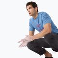 Vyriški marškinėliai Arcteryx Arc'Word Logo stone wash 4