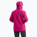Moteriška striukė nuo lietaus Arc'teryx Beta amaranthus/edziza 2