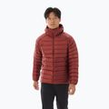 Vyriška pūsta striukė Arc'teryx Cerium Hoody sequoia/ solaris