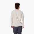 Vyriški žygio marškinėliai ilgomis rankovėmis Arc'teryx Cormac Crew arctic silk heather 2