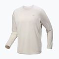 Vyriški žygio marškinėliai ilgomis rankovėmis Arc'teryx Cormac Crew arctic silk heather 4